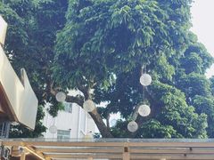 -泰堤坊(淡水体育馆店)