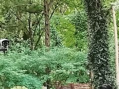 -汇龙潭