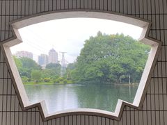 -晓港公园