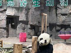 -栾川竹海野生动物园
