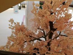 -汤里来温泉