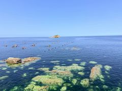 -养马岛旅游度假区
