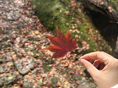 -少华山国家森林公园