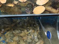 -宾朋海鲜特色美食餐厅·纯手工鲅鱼水饺(兴海路店)