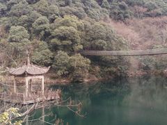 -宁海森林温泉