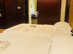 -圣爵菲斯大酒店(长沙世界之窗店)