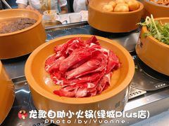 -龍歌自助小火锅(李沧丽达店)