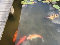 景点-天目湖山水园