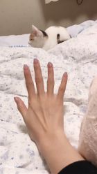 -J·C NAIL美甲美睫