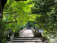 -汇龙潭