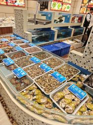 -双井轩·宴会厅