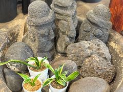 -Dombe豚(黑猪肉街店)