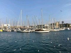 -小巴塞罗那海滩
