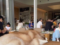 -SAANCI山池咖啡(海上世界文化艺术中心店)