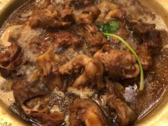 -芦月轩羊蝎子(北蜂窝店)