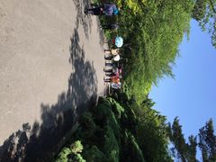 iphone_upload_pic-汉拿树木园