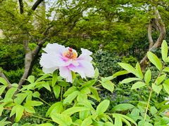 -中山公园