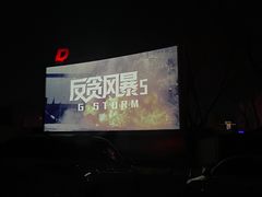 -枫花园汽车电影院(朝阳公园店)