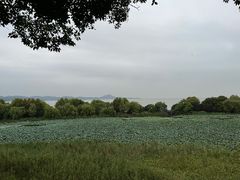 -上海市保健医疗中心