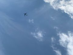 -重庆海昌加勒比海水世界
