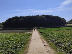 -八卦田遗址公园