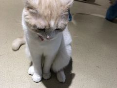 -藏猫猫咖啡主题馆(中央大道店)
