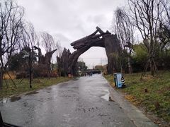 -广富林郊野公园