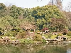 -杭州植物园