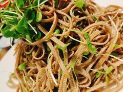 五香豆腐丝-渔家风味·鲅鱼水饺·央视展播·海鲜天津菜(开发区店)