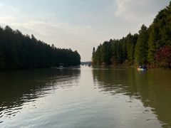 -上海海湾国家森林公园