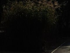 -木守西溪溪隐餐厅