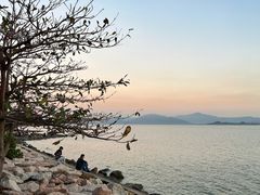 -深圳湾公园(南山区)
