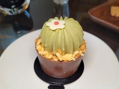 -The Lounge大堂酒廊·咖啡·沙拉·下午茶(金茂深圳JW万豪酒店)