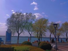 -丁香湖公园
