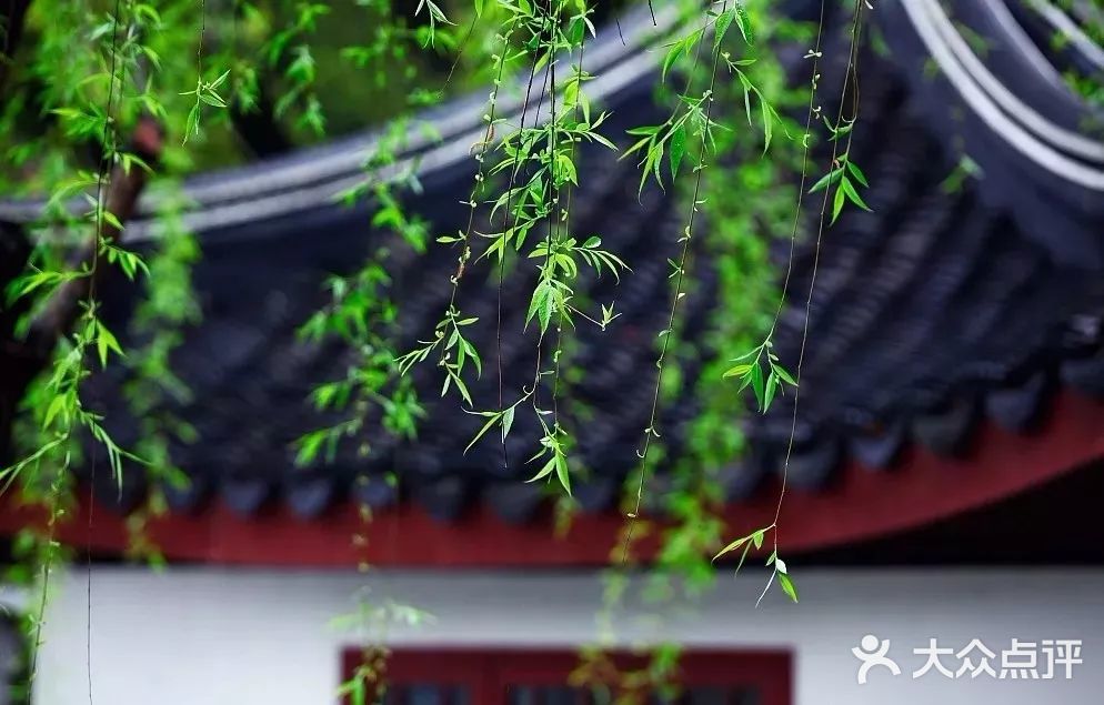 《城市公园》