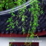 《城市公园》