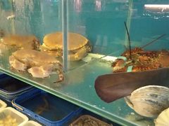 水产区-抚顺美食·老上海味道