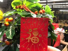 -超级猩猩健身·私教·团课·自助训练(客村丽影广场店)