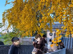 -自如ZSPACE四合院艺术餐厅