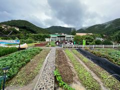 -宁波九龙湖开元度假村