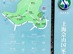 -上海佘山国家森林公园天马山园