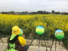 -三圣花乡旅游区