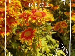 -国家植物园