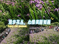 -龙头寺公园