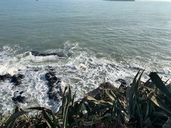 -漳州滨海火山岛自然生态风景区