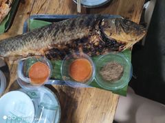 -杨合林啊兰烤鱼