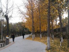 -康庄公园