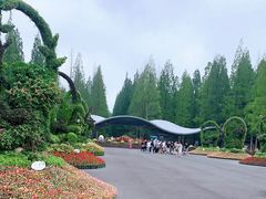 -东平国家森林公园