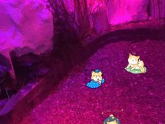 汗蒸-水晶之星洗浴温泉汗蒸