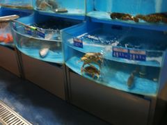 -麦德龙(虹口江湾店)